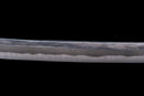 Antique Japanese Sword Wakizashi by Shinano no Kami Fujiwara Daidō - Tokubetsu Hozon Token