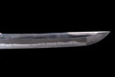 Antique Japanese Sword Wakizashi by Shinano no Kami Fujiwara Daidō - Tokubetsu Hozon Token