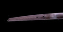 Antique Japanese Katana Sword signed Hitachi no Kami Muneshige, NBTHK Hozon