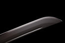 Bronze Fang Tactical Sword (Limited)