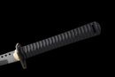 Titanium Ronin Tactical Katana (Limited)