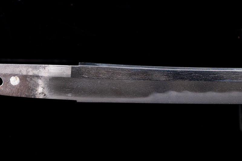 Antiek Japans zwaard Wakizashi van Shinano no Kami Fujiwara Daidō - Tokubetsu Hozon Token