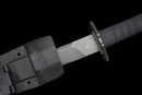 Phantom Tachi Long Tactical Sword — high-carbon steel, Black textured handle, black molded sheath, modular holes, belt clip