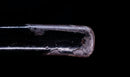 Antique Japanese Katana Sword with Tombo Dragonfly Menuki & Sansui Landscape Tsuba
