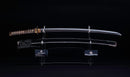 Antique Japanese Katana Sword with Tombo Dragonfly Menuki & Sansui Landscape Tsuba