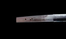 Antique Japanese Katana Sword, Waterfowl Tsuba signed Awataguchi
