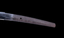 Antique Japanese Katana with Black Lacquer Koshirae and Feather-Motif Iron Tsuba signed Chikushi Tadamasa - Hozon