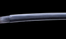 Antique Japanese Katana with Black Lacquer Koshirae and Feather-Motif Iron Tsuba signed Chikushi Tadamasa - Hozon