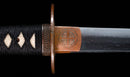 Antique Japanese Katana Sword with Gold-Inlaid Iron Tsuba, Attributed to Chikuzen Nobukuni — NBTHK Hozon