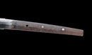 Antique Japanese Katana Sword with Gold-Inlaid Iron Tsuba, Attributed to Chikuzen Nobukuni — NBTHK Hozon