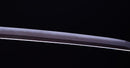 Antique Japanese Katana Sword by Kashu Katsuie (Hozon)