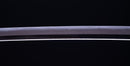 Antique Japanese Katana Sword by Kashu Katsuie (Hozon)