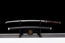 A black and red-handled katana with a curved blade on a stand, complete with a black sheath featuring a gold dragon symbol, Tanjiro Katana.